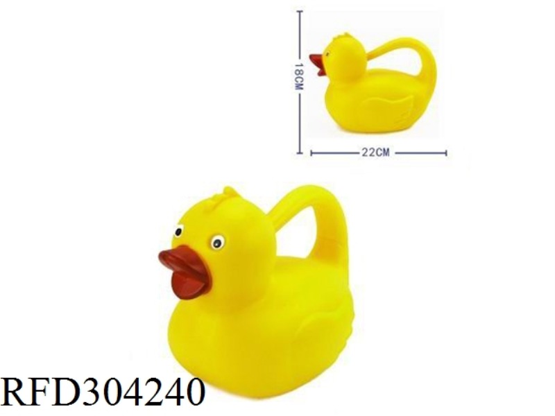 BEACH- DUCK