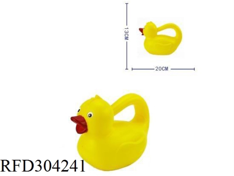 BEACH- DUCK