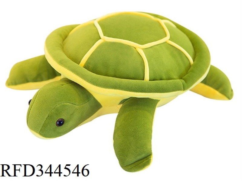 20 INCHES OF SEA
TURTLE