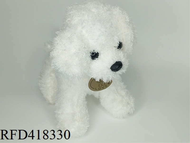25CM WHITE TEDDY