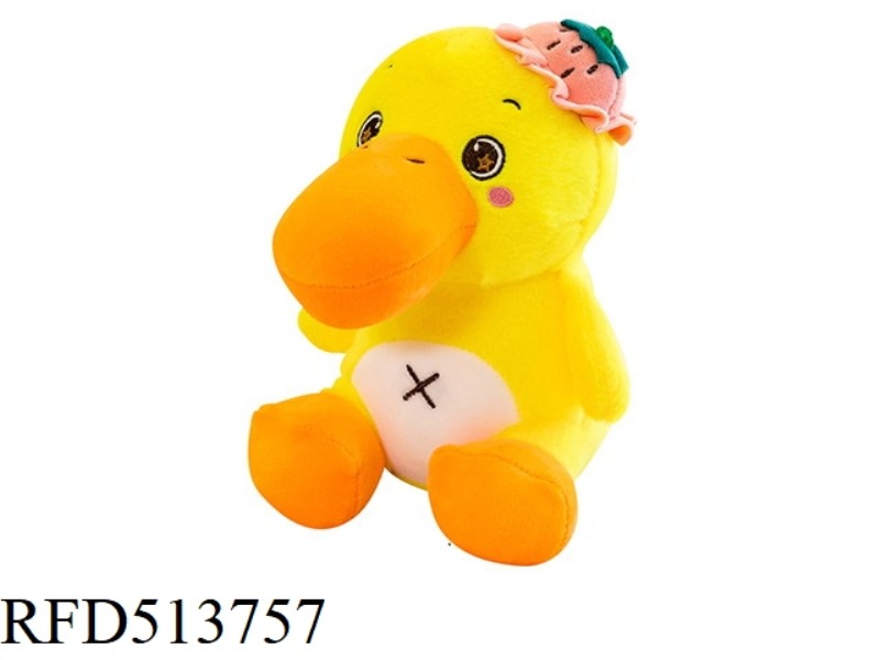 LARGER-BILLED DUCK
