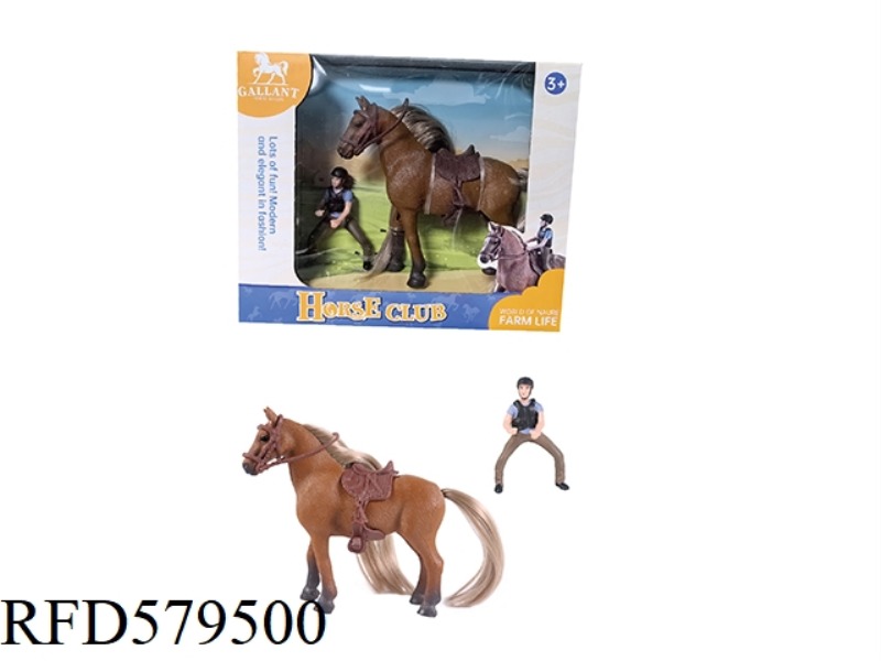 A HORSE WITH A RIDER