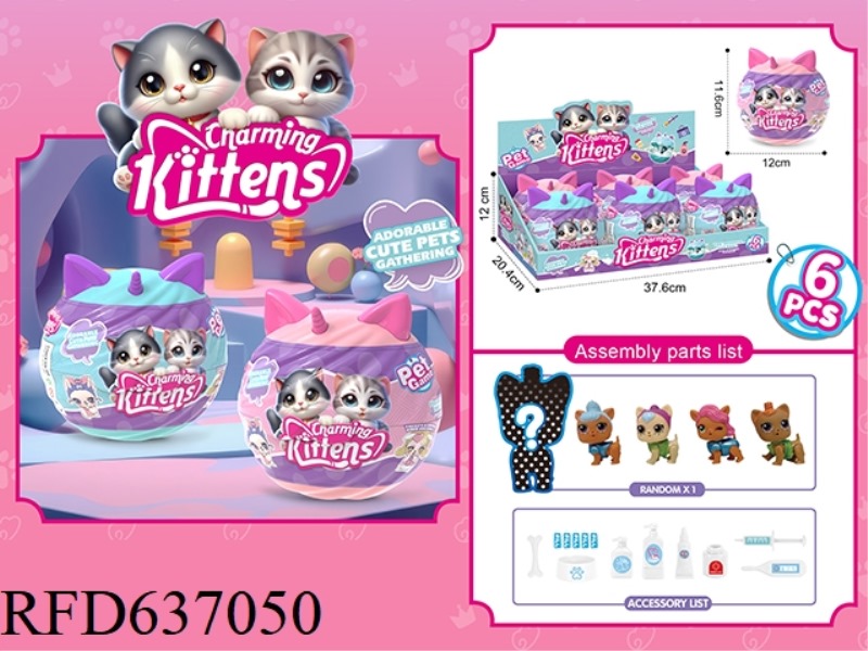 BLIND BOX CAT (6PCS)