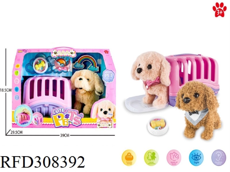 PET HOUSE