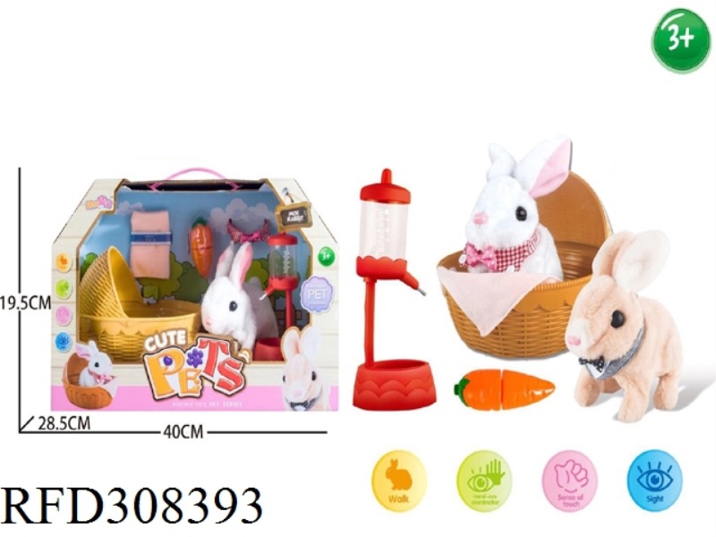 PET SET