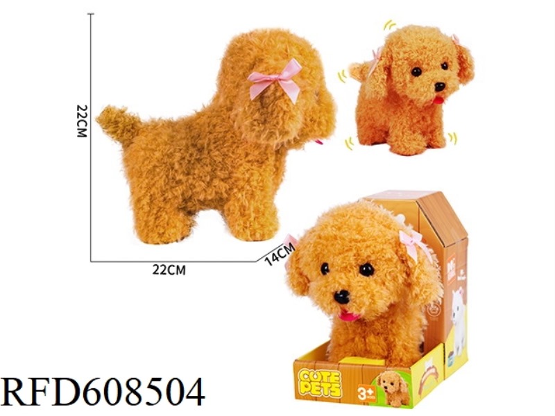 ELECTRIC FEMALE TAYDOG