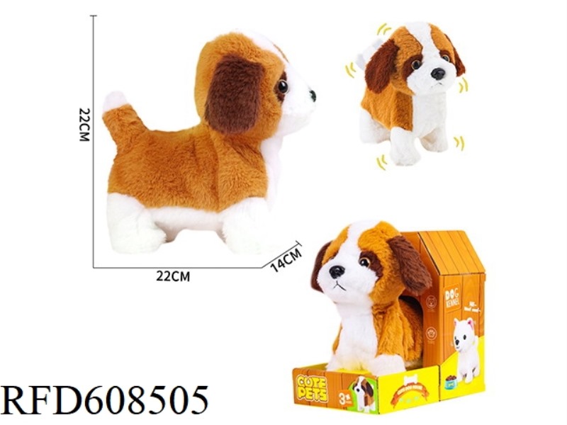 ELECTRIC CORGIS