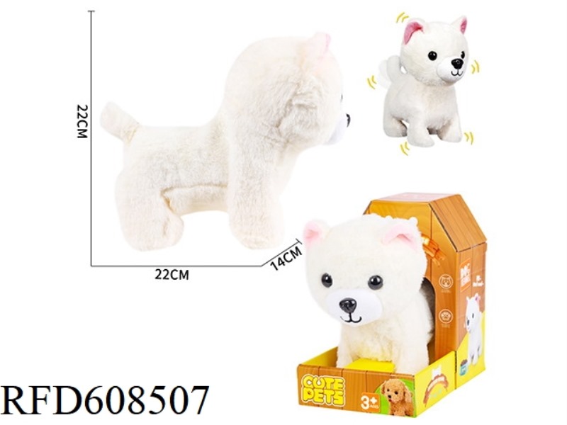 ELECTRIC ANGELA DOG