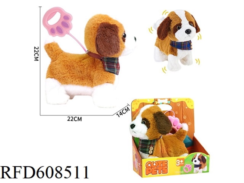 A CORGI ON A LEASH