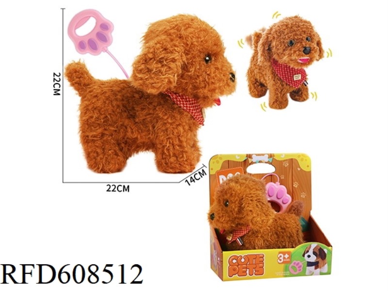 TEDDY DOG ON A LEASH