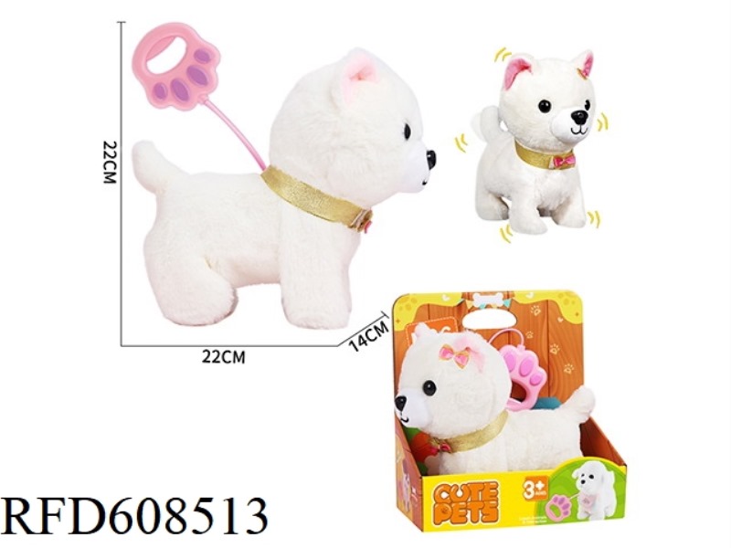 LEASH ANGIRA DOG