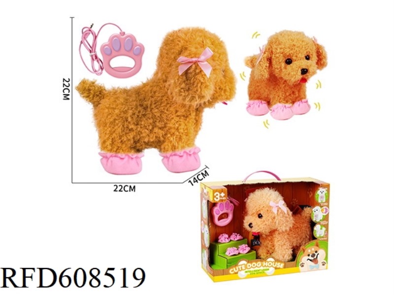 TEDDY DOG ON A LEASH