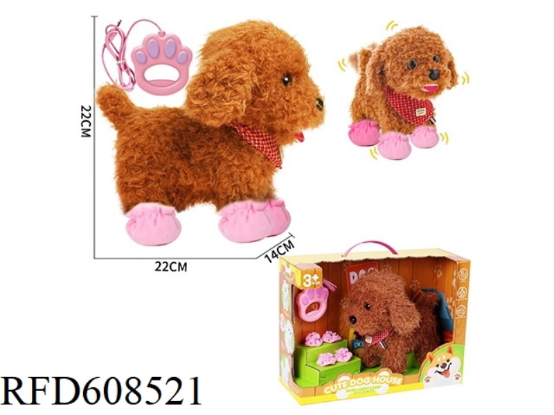 TEDDY DOG ON A LEASH