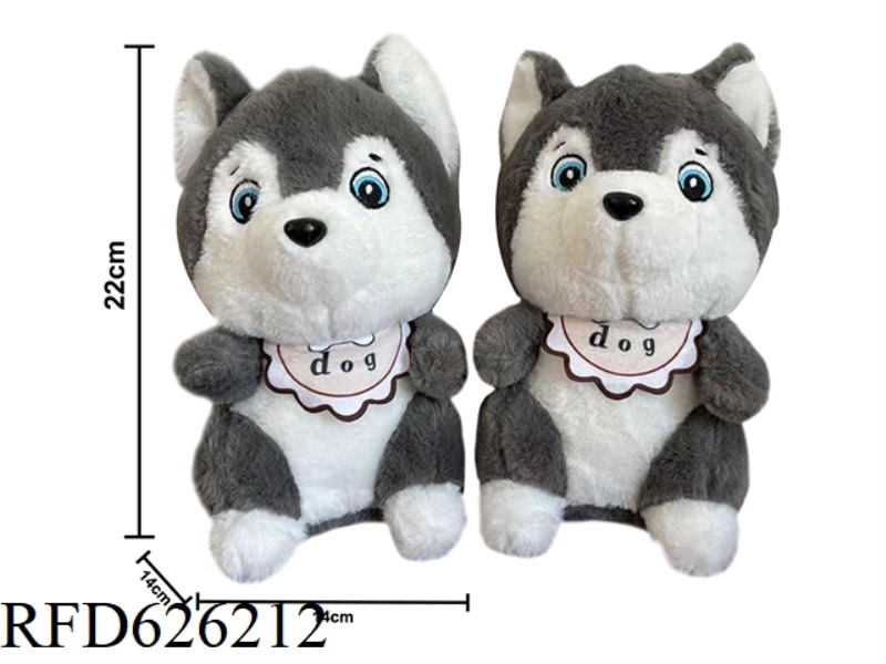 BELLY HUSKY