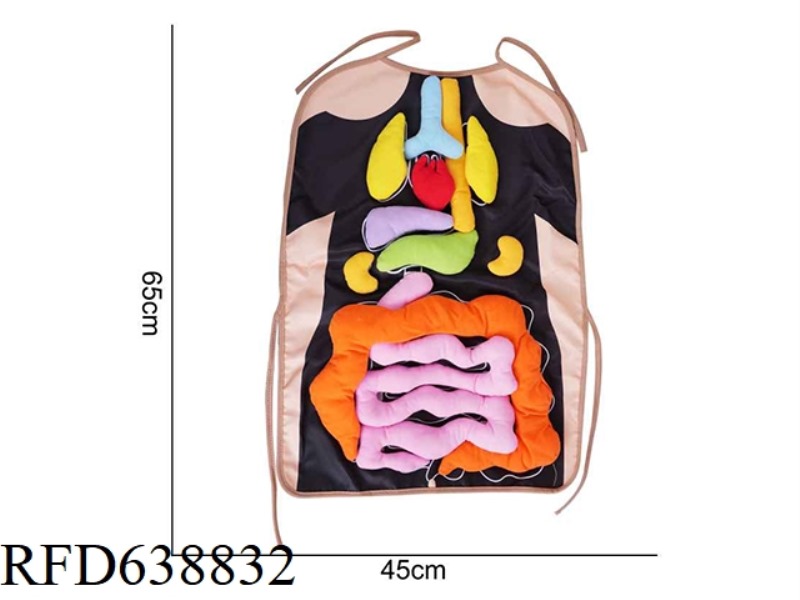 PLUSH TOY AIPINQI HUMAN ORGAN COGNITION 【 TRANSPARENT 】[5]