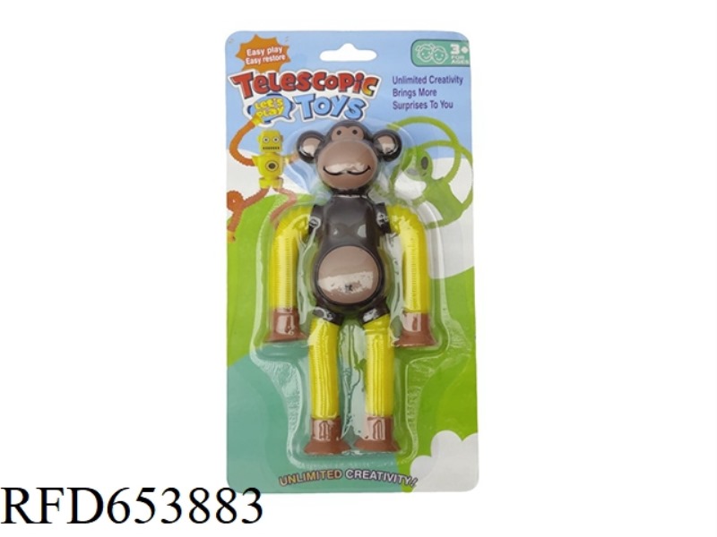 AMAZING LITTLE MONKEY