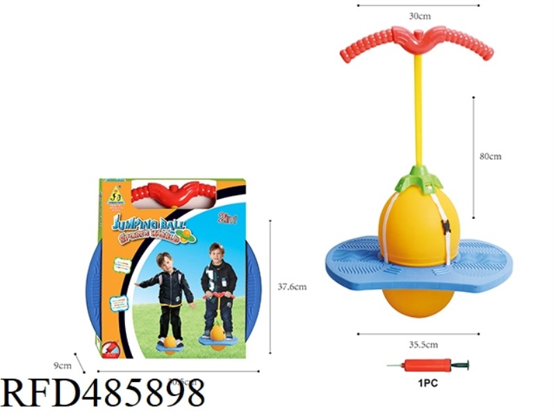 2-IN-1 CHILDREN'S BOUNCING BALL SET