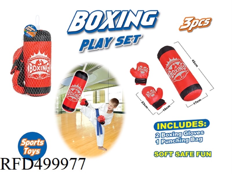 PUNCHING BAG IN BOXING