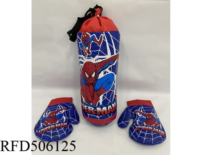 BLUE SPIDER-MAN BOXING RING