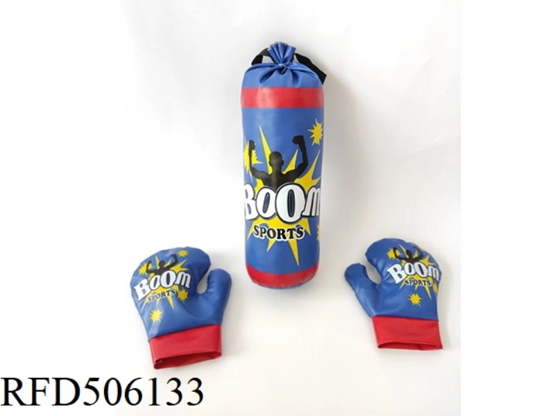 BLUE CHAMPION BOXING RING