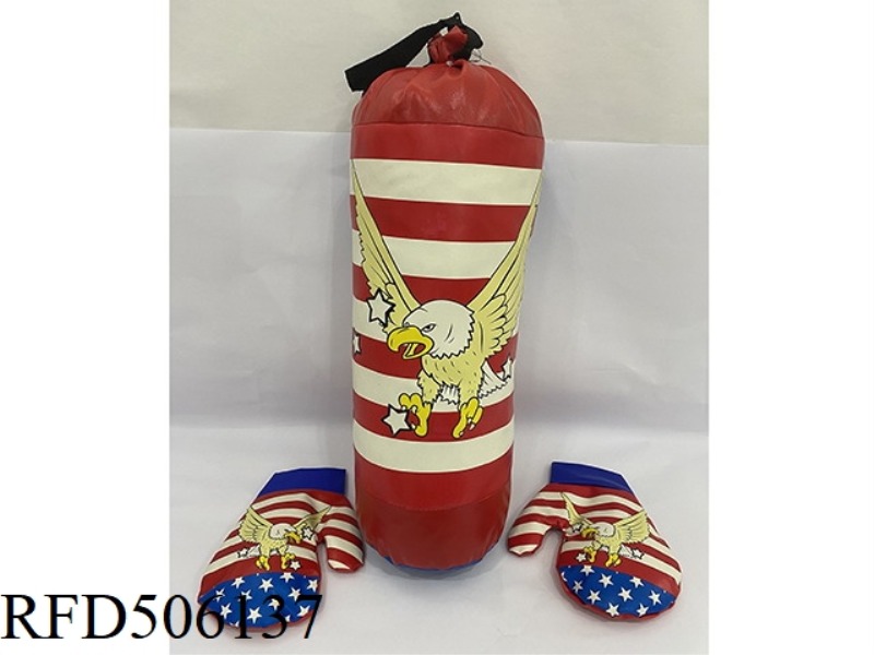 BALD EAGLE AMERICAN FLAG BOXING SET