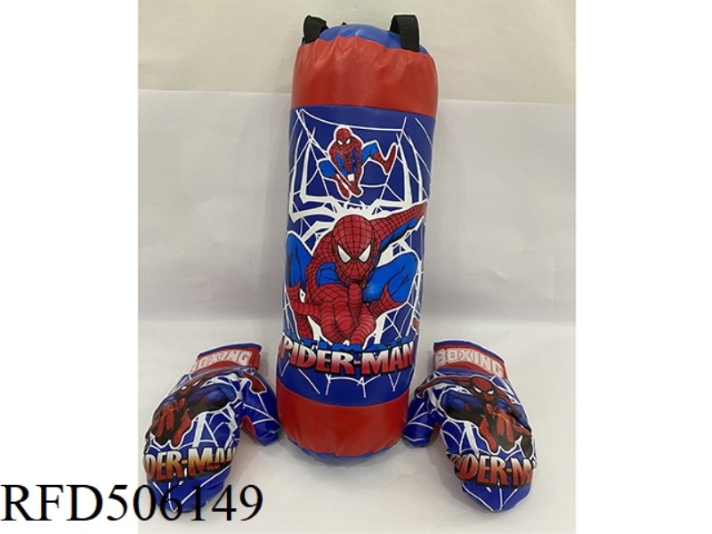 BLUE SPIDER-MAN BOXING RING