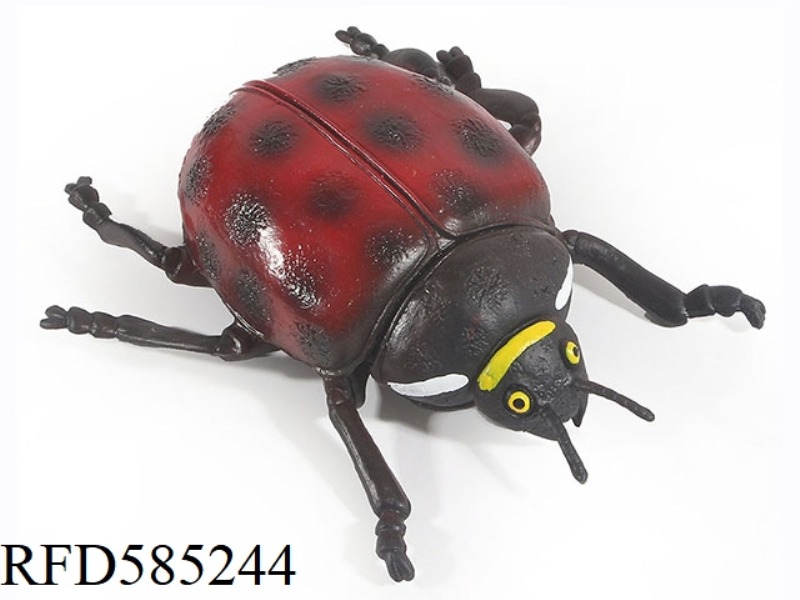 COCCINELLA SEPTEMPUNCTATA