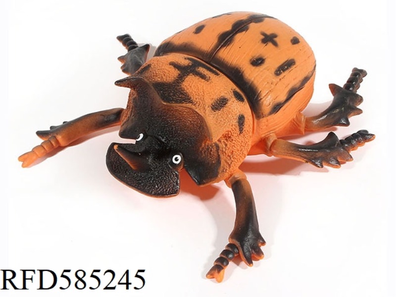 DUNG BEETLE