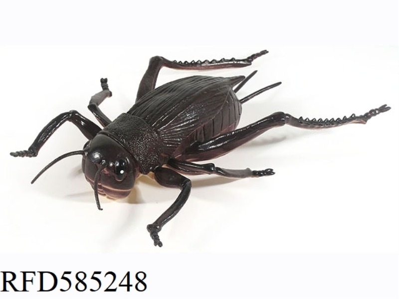 CRICKET