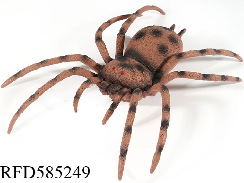 SPIDER