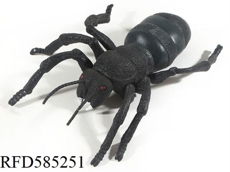 ANT