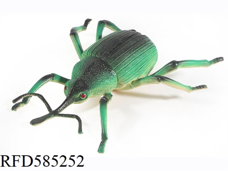 WEEVIL