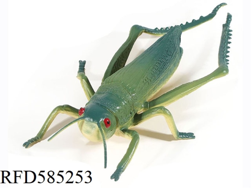GRASSHOPPER