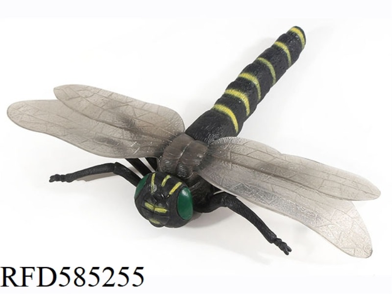 DRAGONFLY