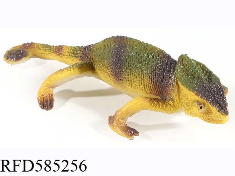 LIZARD