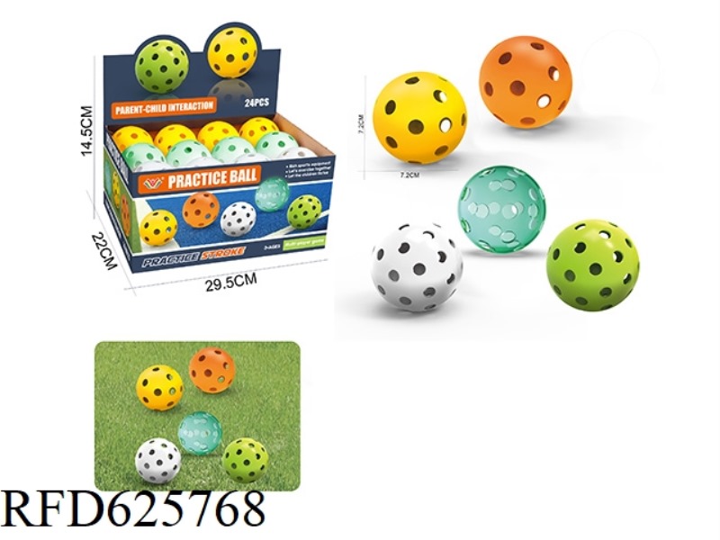 24 PICKLEBALLS
