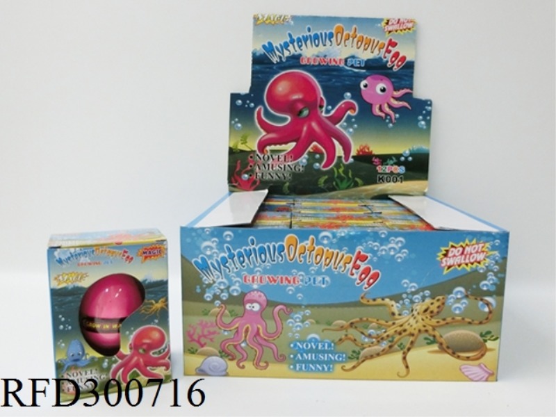 BULGED EGG OCTOPUS 12PCS