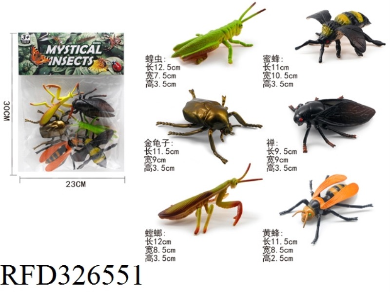 INSECTS 6 PCS