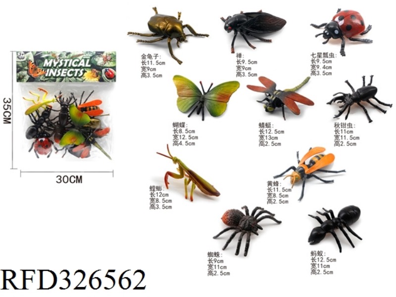 INSECTS 10 PCS