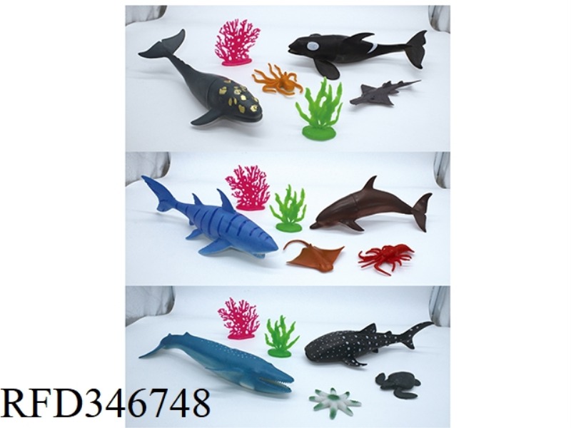 MARINE LIFE 6PCS THREE MIXED