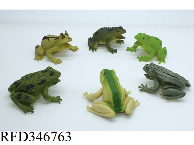 6 FROGS
