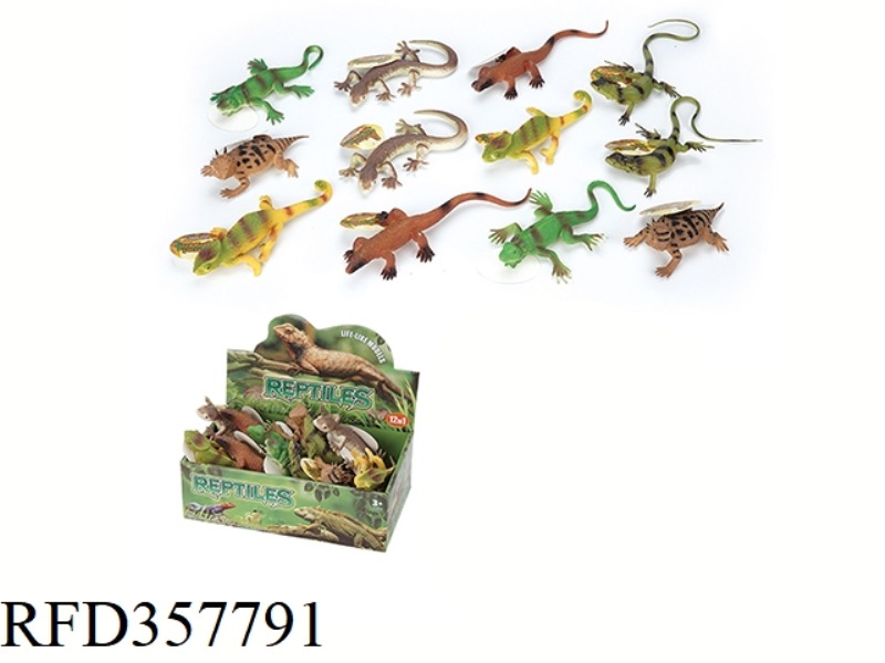 12PCS 9-INCH LIZARD BOX