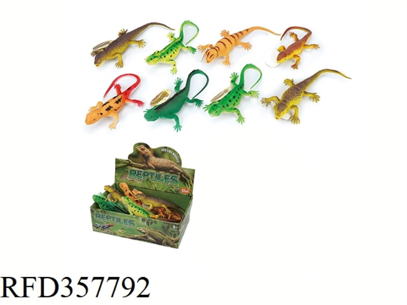 12PCS 10 INCH LIZARD BOX