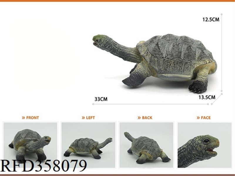 GLUE FILLED WITH COTTON MAINLAND TURTLE
