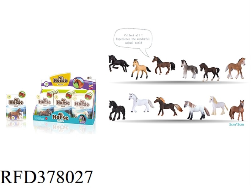 12 HORSE DISPLAY BOXES