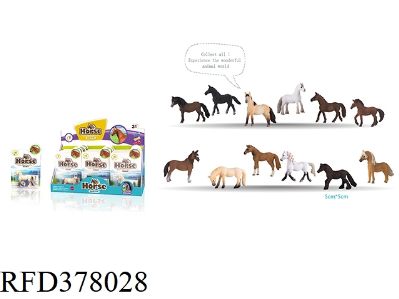 12 HORSE DISPLAY BOXES