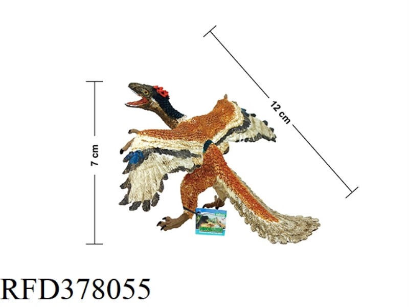 BEGINNING BIRD