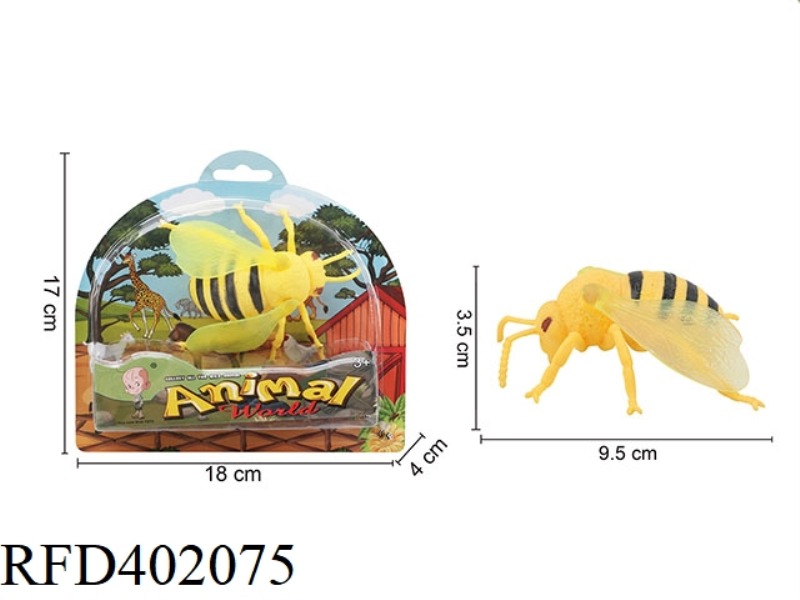 INSECT