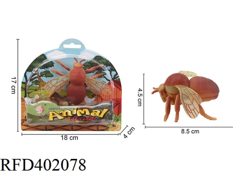 INSECT