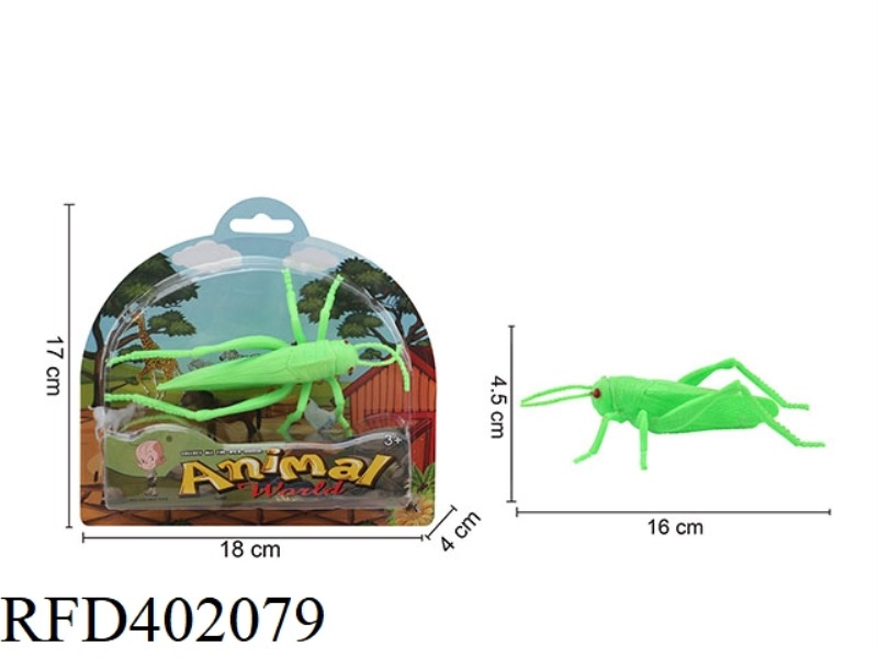 INSECT